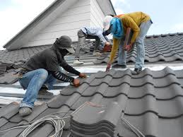 Best Asphalt Shingle Roofing  in Wanamingo, MN